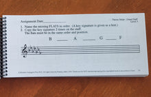 Load image into Gallery viewer, Theory Strips